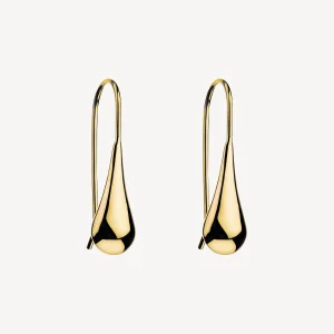 NAJO Gold Plated Teardrop Earrings